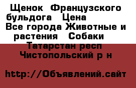 Щенок  Французского бульдога › Цена ­ 35 000 - Все города Животные и растения » Собаки   . Татарстан респ.,Чистопольский р-н